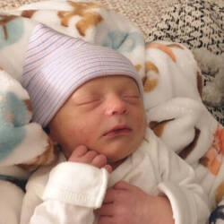 Rebecca (Darnbrook) Bemis
